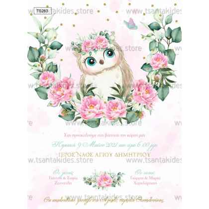 Προσκλητήριο Βάπτισης την μικρή κουκουβάγια TS263