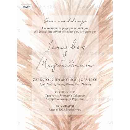 Προσκλητήριο Βάπτισης pampas TS297